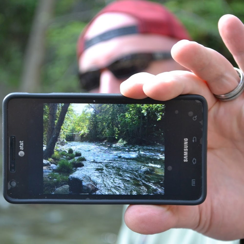 Meet your Posher, Jessie